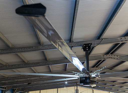 羽は大きいものを選びましょう